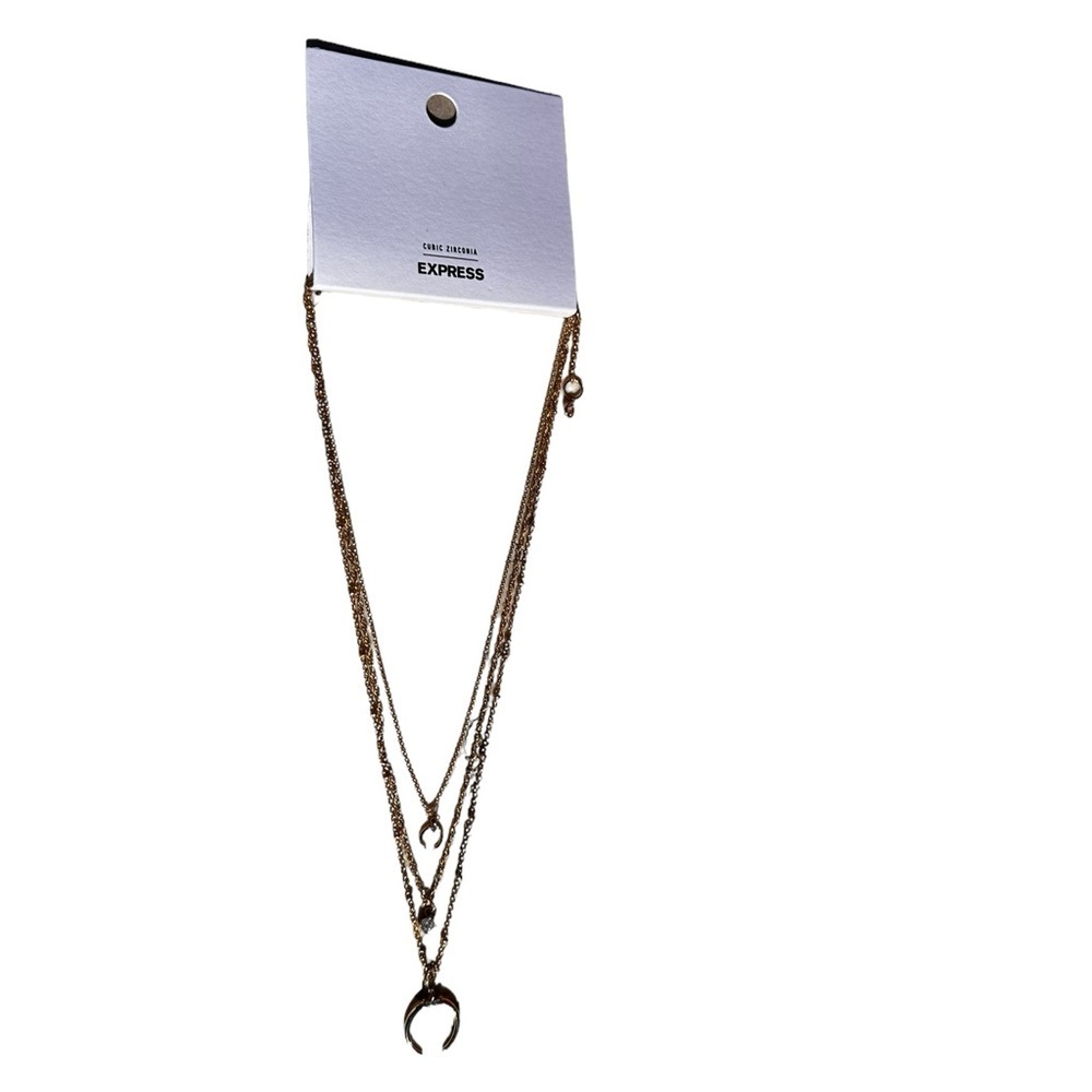 FREE WITH BUNDLE NWT Express Layered Necklace​​